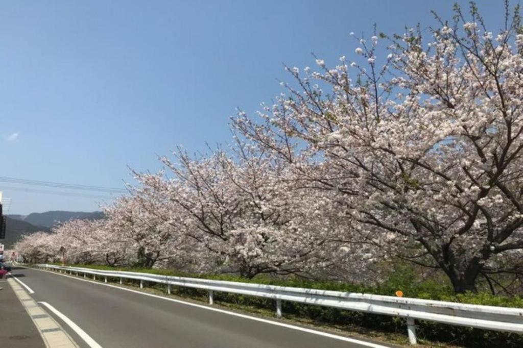 Business Hotel Kawakami Kumano Kültér fotó
